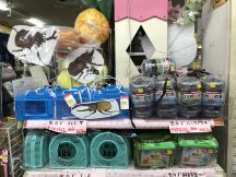 昆虫採集、飼育ケース揃いました！